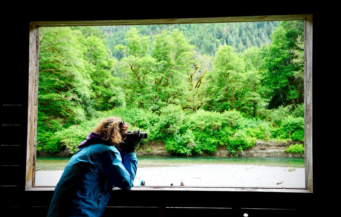 Klahoose Wilderness Resort Viewing Platform