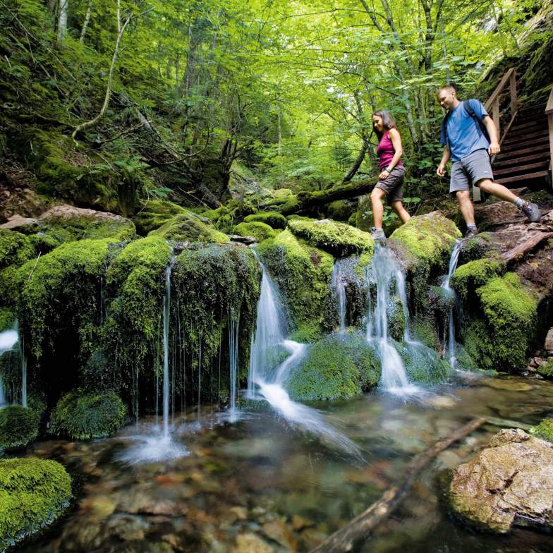 Discover The Bay Of Fundy First Class Holidays discover-the-bay-of-fundy-first-class-holidays