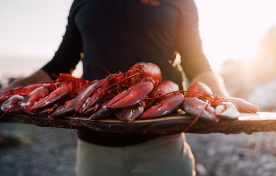 Lobster-Capital-New-Brunswick