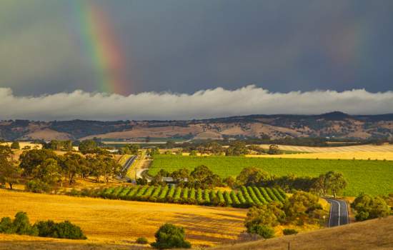 Barossa Valley