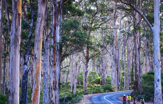 Margaret River 