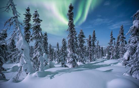 Enjoy Winter in the Yukon