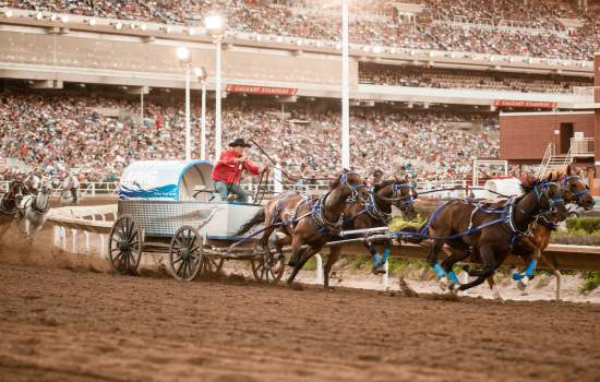 Calgary Stampede