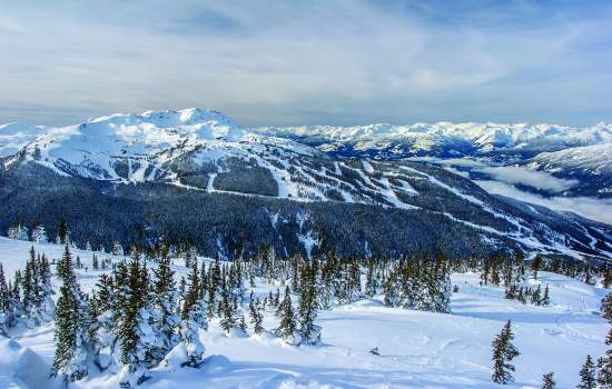 Whistler Winter