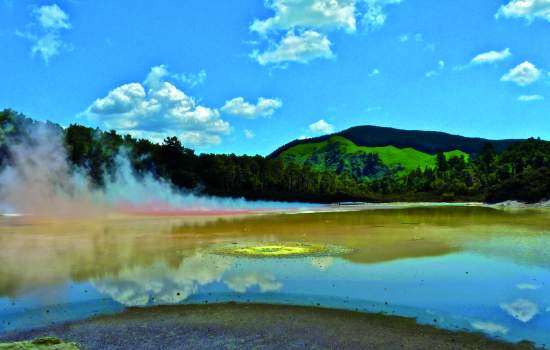 Geothermal Area near Rotorua