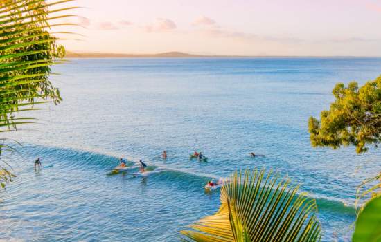 Little Cove Surf - Noosa 