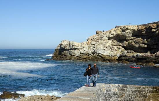 Hermanus