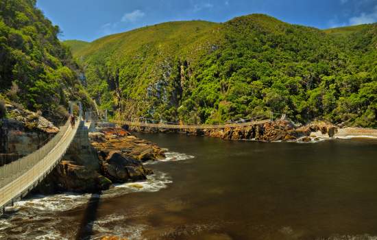 Tsitsikamma Canopy 