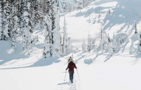 Banff cross country ski 