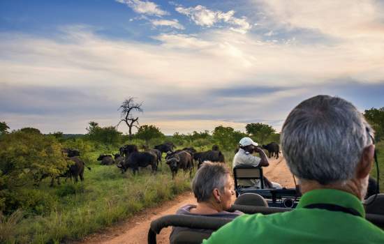 Kruger National Park