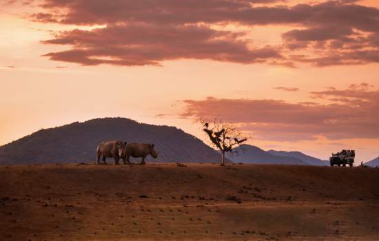 Kruger National Park