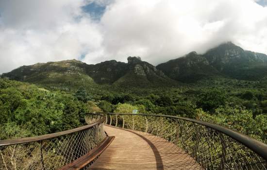 Kirstenbosch