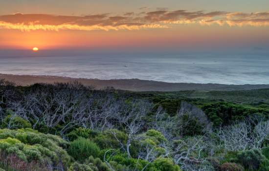 Grootbos