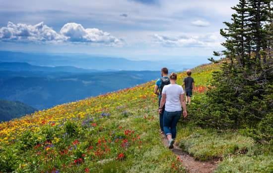 Sun Peaks