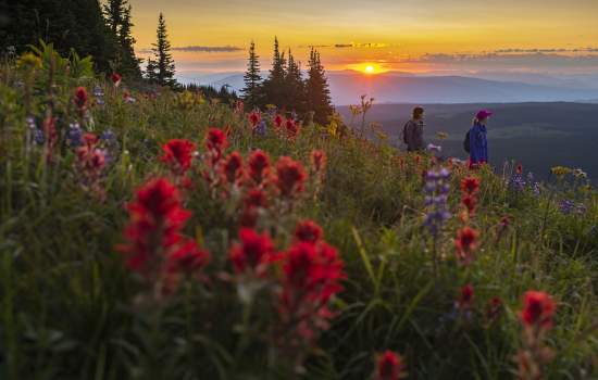 Sun Peaks Summer Hiking