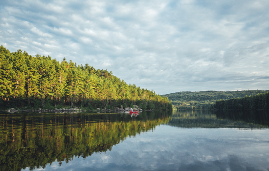 Algonquin_Provincial_Park_Ontario_Canada_Tailormade_Holidays