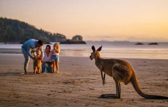 Cape_Hillsborough_queensland