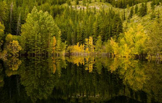 Reasons to visit Canada_Travel Alberta