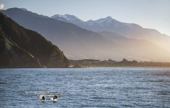 Kaikoura, New Zealand