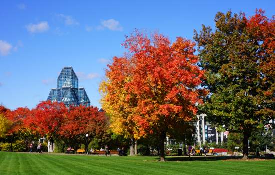 National Gallery of Canada Major's Hill Park fall DSC05346 credit Ottawa Tourism