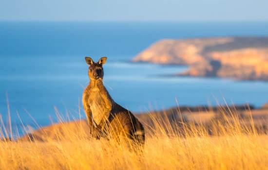 Middle River_Kangaroo Island