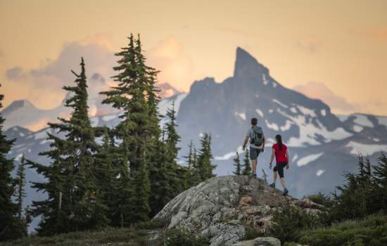 Whistler