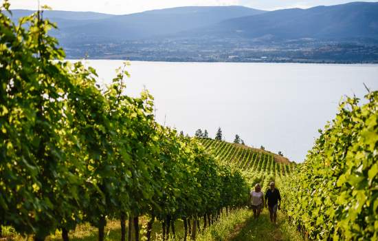 Kelowna_British Columbia_25008_Main File