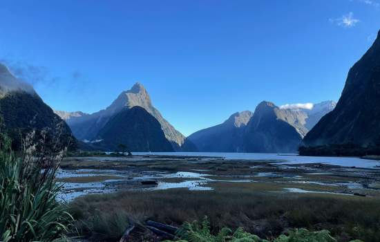 Linda New Zealand