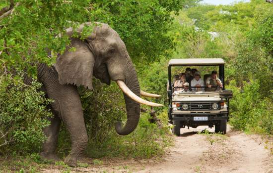 South Africa 