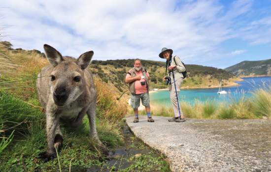 Deal Island_Tasmania