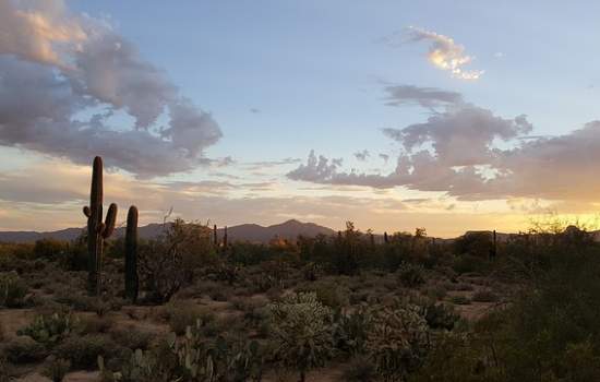 Tucson