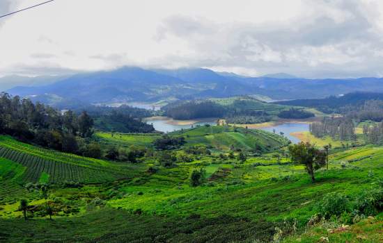 Ooty 
