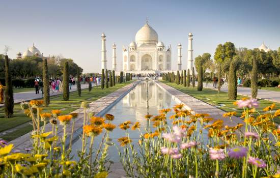 t-as-india-agra-taj-mahal-flowers-629824608-g-rf (1)