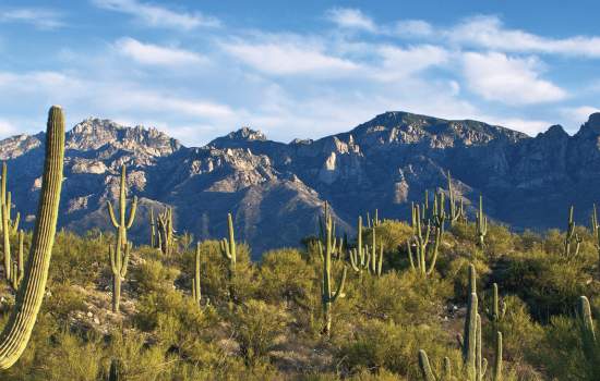 Tucson