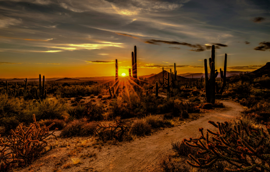 Scottsdale